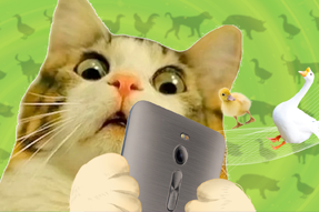 FRIDAY专栏 | 被憋疯的职场人，养起了猪牛羊鱼鸟...